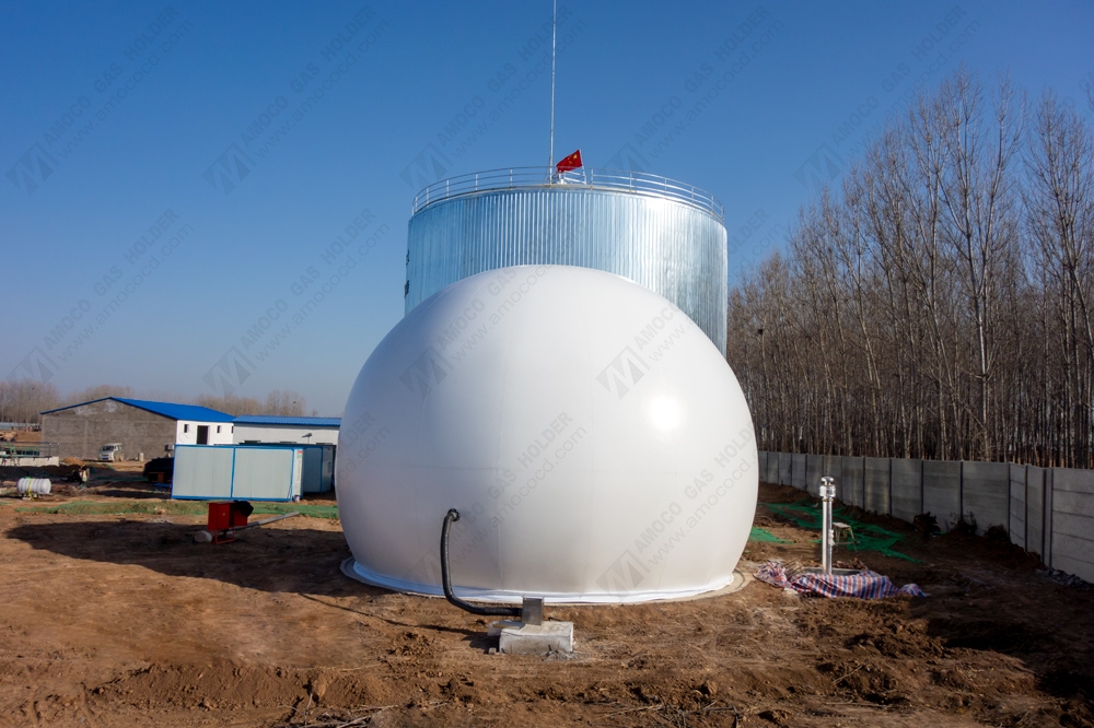 河南焦作市AMA型下载香蕉视频APP