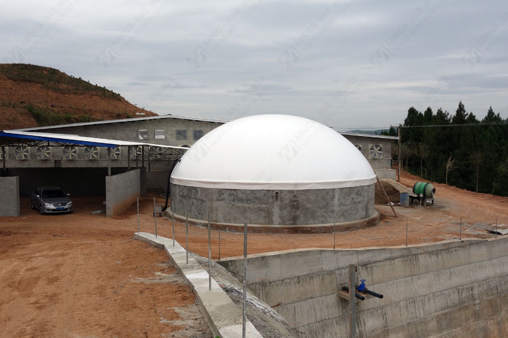 四川 养殖场沼气香蕉视频最新网址在线观看